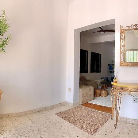 The Bay Laurel Apartment Лимасол Екстериор снимка